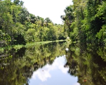 Delta-orinoco-campamento-abujene (340)